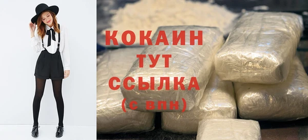 твердый Аркадак