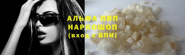 твердый Аркадак